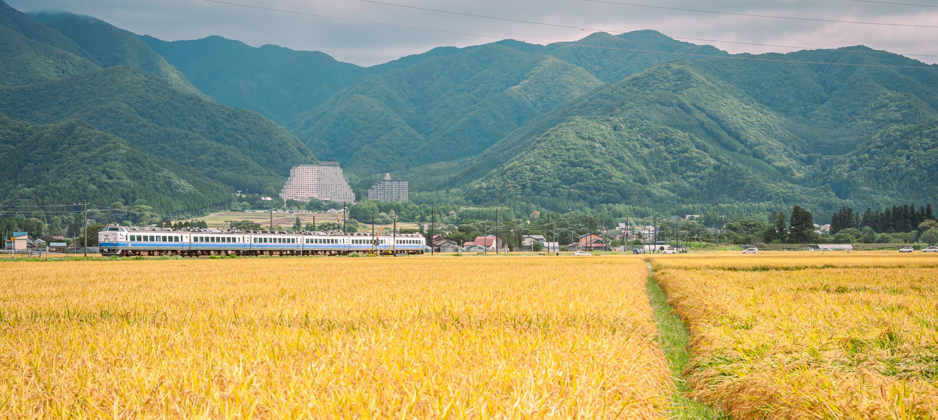 Liberty And Bravery.